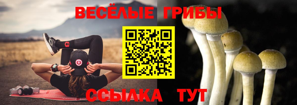 Электрогорск  Галлюциногенные грибы MAGIC MUSHROOMS  Псилоцибиновые грибы Psilocybine cubensis  Вход с VPN 
